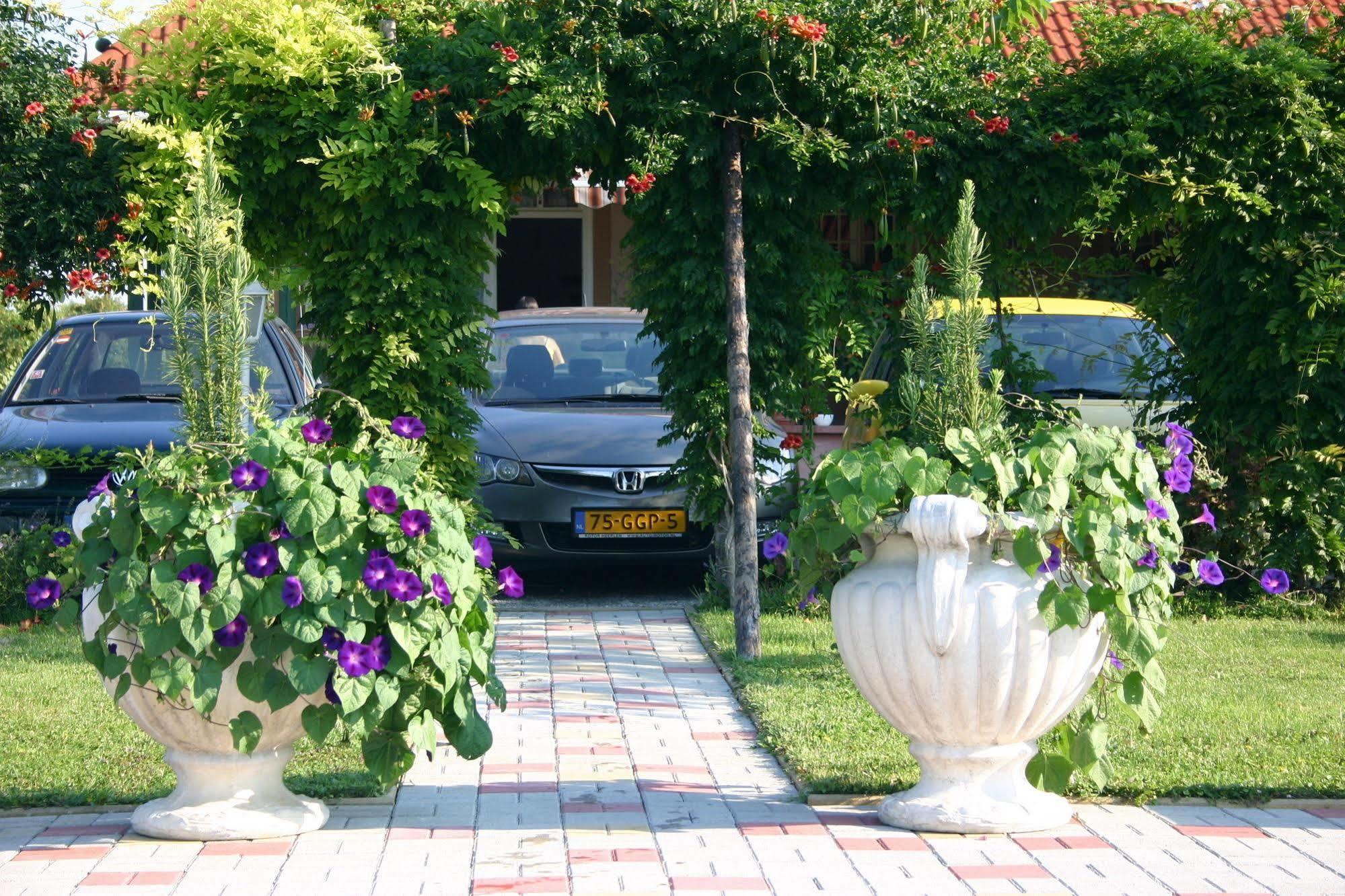 Lorelei Pension Adults Only เจเนชดิแอช ภายนอก รูปภาพ