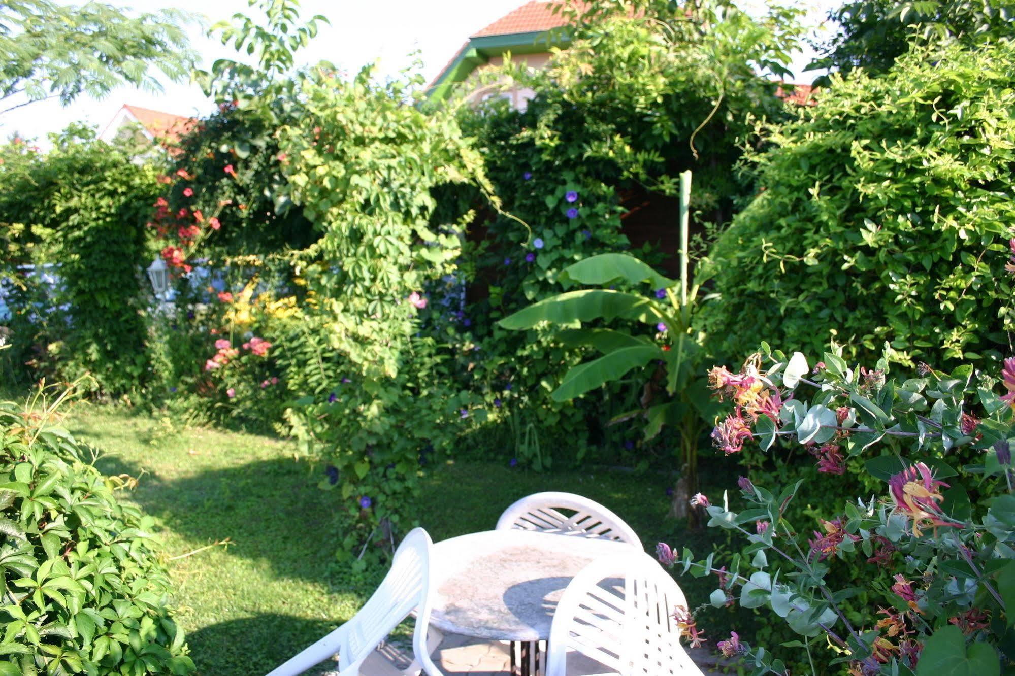 Lorelei Pension Adults Only เจเนชดิแอช ภายนอก รูปภาพ